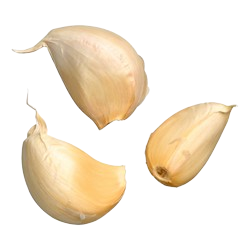 image knoflook
